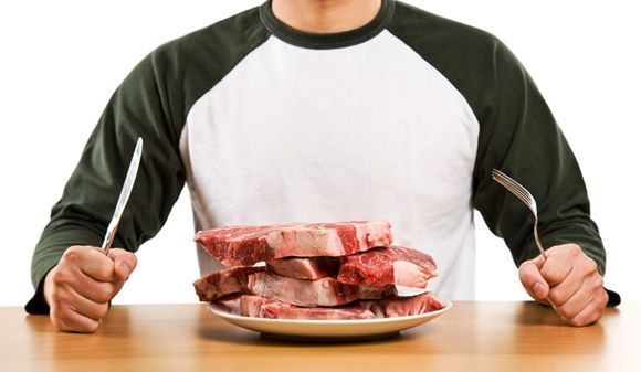Dieta carnívora